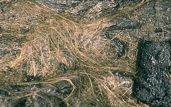 Pele s Hair from Hawaii USGS